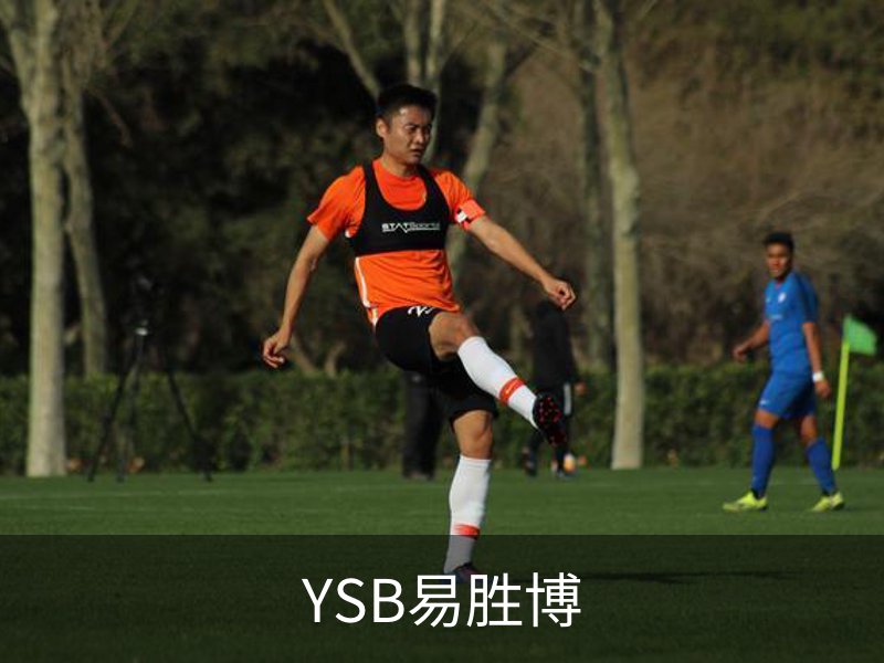 YSB易胜博概况